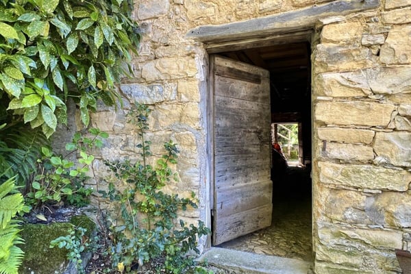 LEBENSTRAUM TESSIN - Charmant renoviertes Dorfhaus mit grossem Atelier ideal für Kunst&Kultur und B&B 66