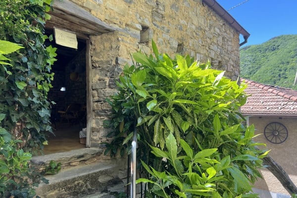 LEBENSTRAUM TESSIN - Charmant renoviertes Dorfhaus mit grossem Atelier ideal für Kunst&Kultur und B&B 34