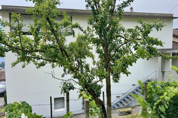 4,5 Zi. Wohnung in Zweifamilienhaus mit 180° Seesicht, grosser Sonnenterrasse & eigenem Garten 43