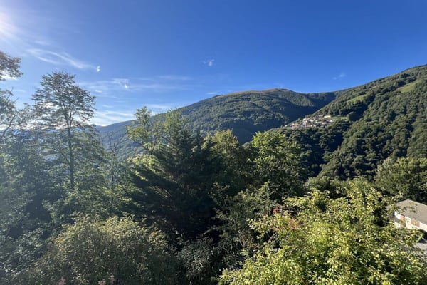Wohnen im Grünen - Einfamilienhaus mit herrlicher Aussicht und viel Gestaltungspotenzial 5