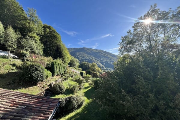 Wohnen im Grünen - Einfamilienhaus mit herrlicher Aussicht und viel Gestaltungspotenzial 10