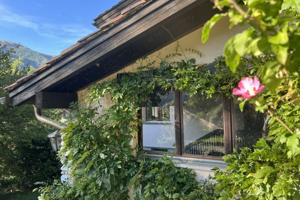 Wohnen im Grünen - Einfamilienhaus mit herrlicher Aussicht und viel Gestaltungspotenzial 11