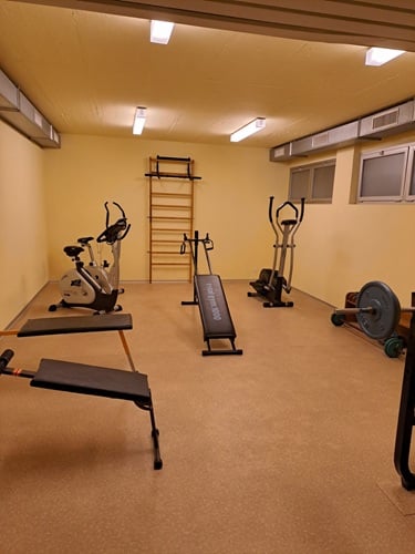 Locarno Monti - affittasi luminoso app. 1 locali con vista 10