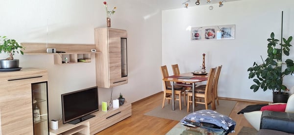 Locarno Monti - affittasi luminoso app. 1 locali con vista 3