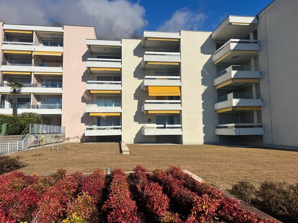 Locarno Monti - affittasi luminoso app. 1 locali con vista 1