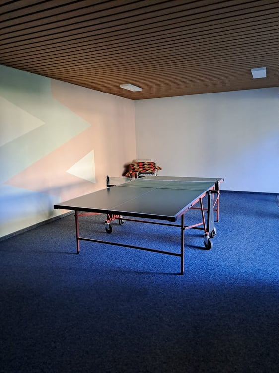 Locarno Monti - affittasi luminoso app. 1 locali con vista 9