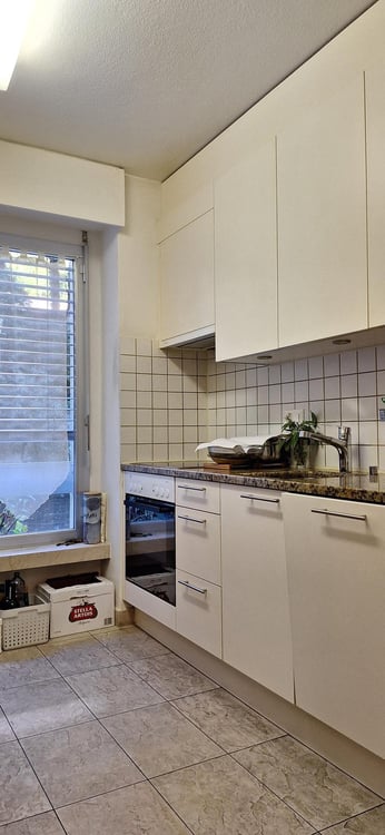 Locarno Monti - affittasi luminoso app. 1 locali con vista 4