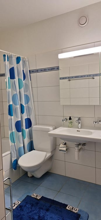 Locarno Monti - affittasi luminoso app. 1 locali con vista 5