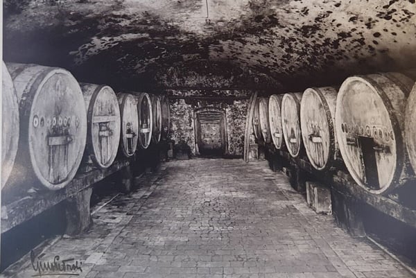 Grotto Bundi alle cantine di Mendrisio 8
