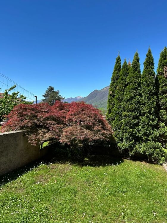 Stupenda casa in posizione residenziale 3