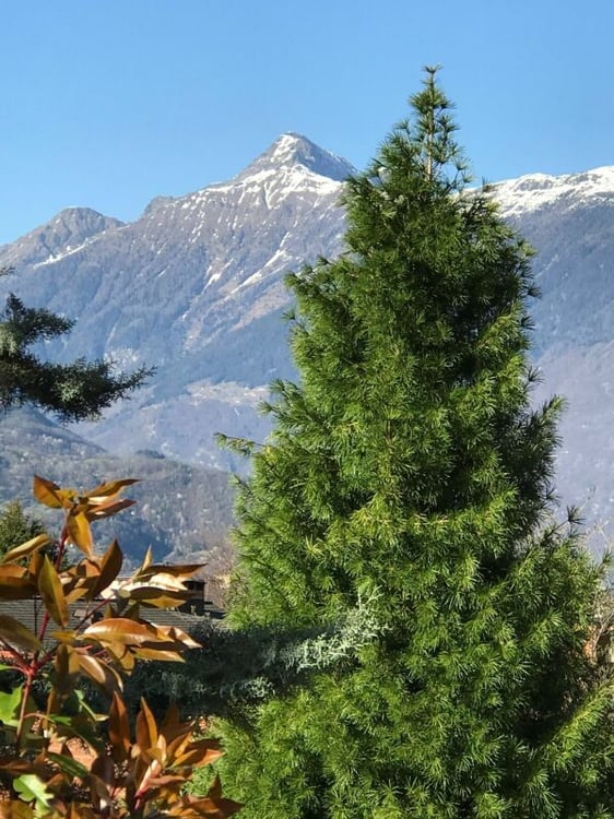 Stupenda casa in posizione residenziale 13