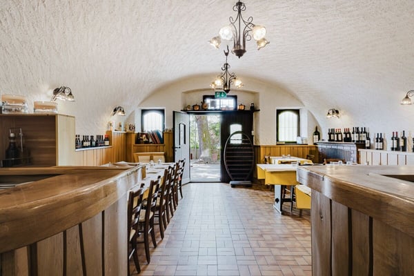 Grotto Bundi alle cantine di Mendrisio - acquistabile con rent to buy! 1