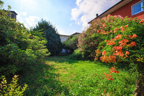 Affascinante e circondata dal verde 1