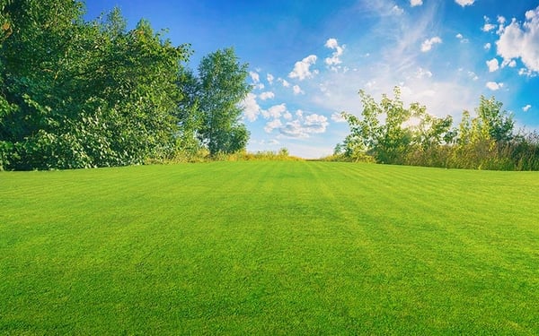 Terreno edificabile 17