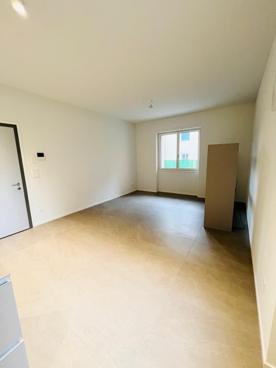 Cassarate ottimo 1.5 locali con posto in stabile minergie 4