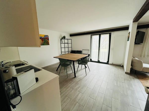 Accogliente 1,5 locali a Carona con giardino e vista panoramica 2