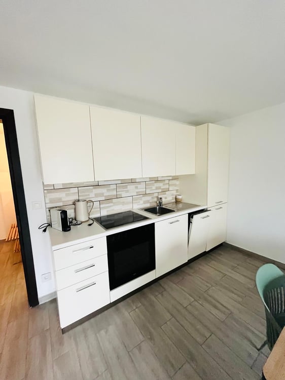 Accogliente 1,5 locali a Carona con giardino e vista panoramica 4