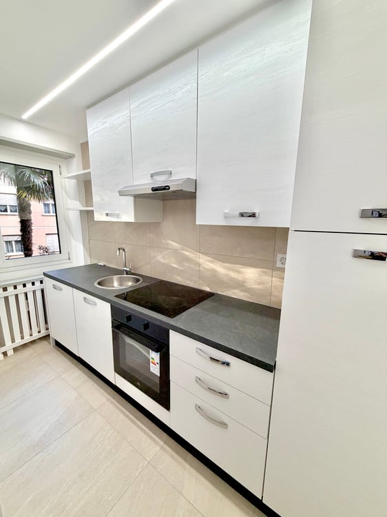 1.5 locali ARREDATO, con ampio GIARDINO a Massagno 8