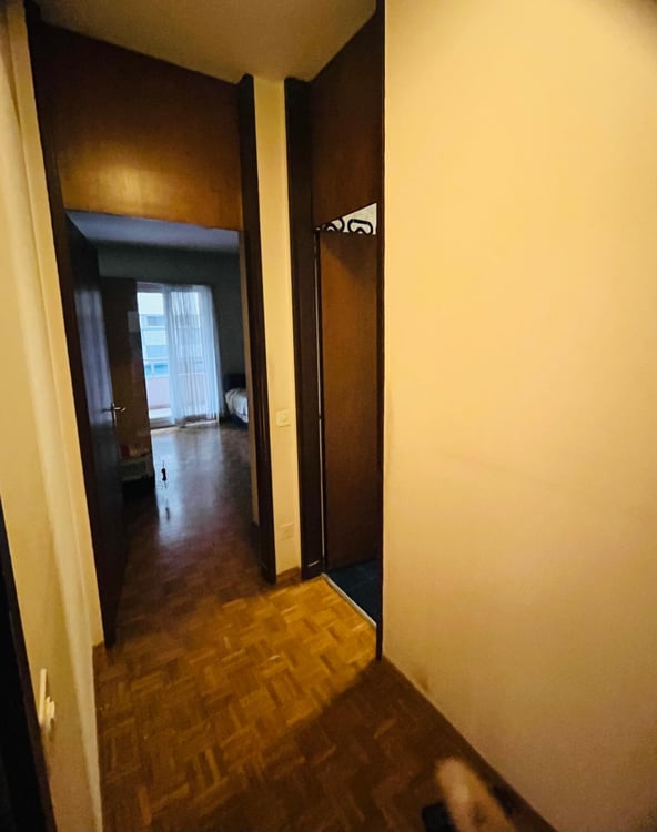 Ampio 1.5 con balconi e piscina condominiale a Cassarate 7