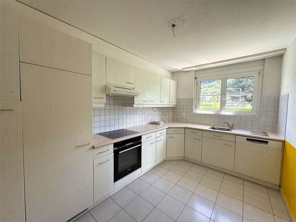 Ampio 4.5 locali con giardino privato 4