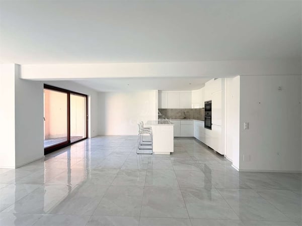 1.5 locali ristrutturato con ampio spazio esterno 1
