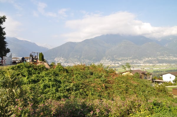 Ampio terreno edificabile a Magadino 4