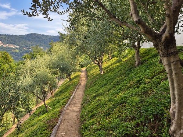 Elegante villa con vista panoramica sul lago, piscina a sfioro e giardino privato 9