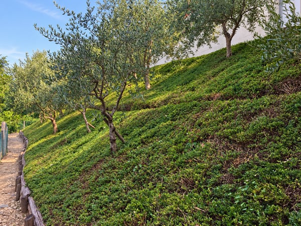 Elegante villa con vista panoramica sul lago, piscina a sfioro e giardino privato 35