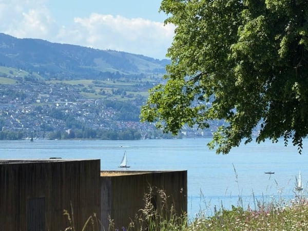 Hochwertige 2.5-Zimmer-Wohnung mit grosszügigem Wohnbereich und 10 m² Südwest-Terrasse 3