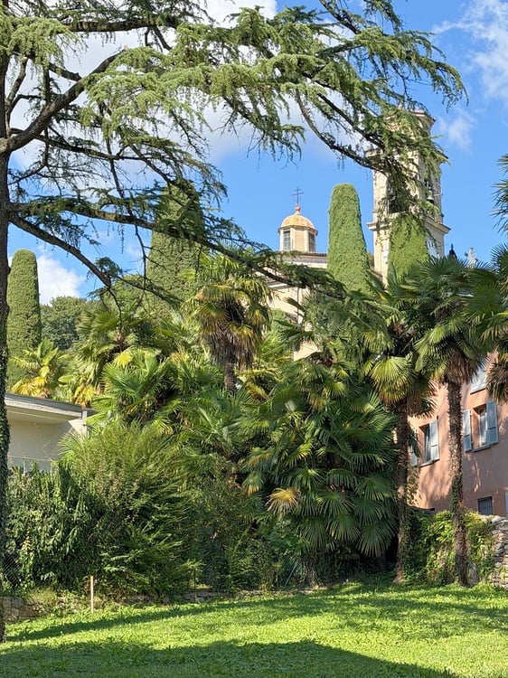 Magliaso – Elegante 3,5 locali immerso nel verde con balcone e posteggio 4