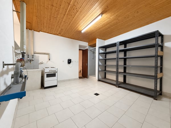 Collina d’Oro: potenziale a reddito o una casa di 7 locali tutta da vivere 17