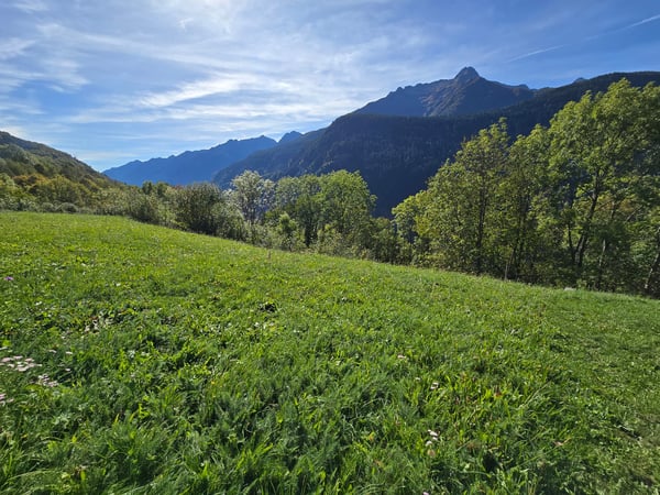 Doppelhaus mit Rustico, grossem Grundstück und schönem Panoramablick 2