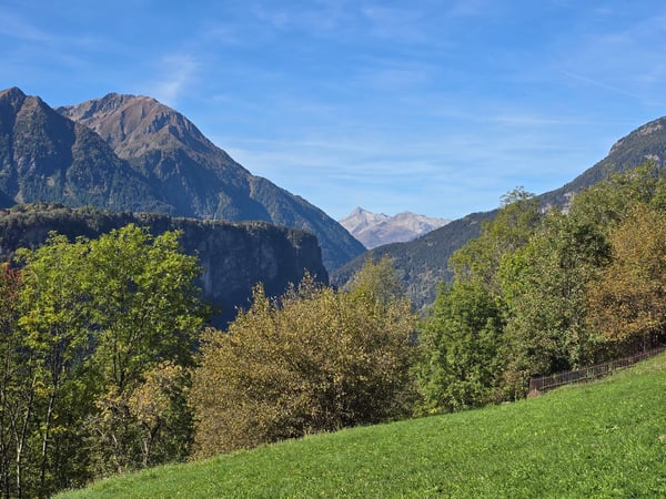 Doppelhaus mit Rustico, grossem Grundstück und schönem Panoramablick