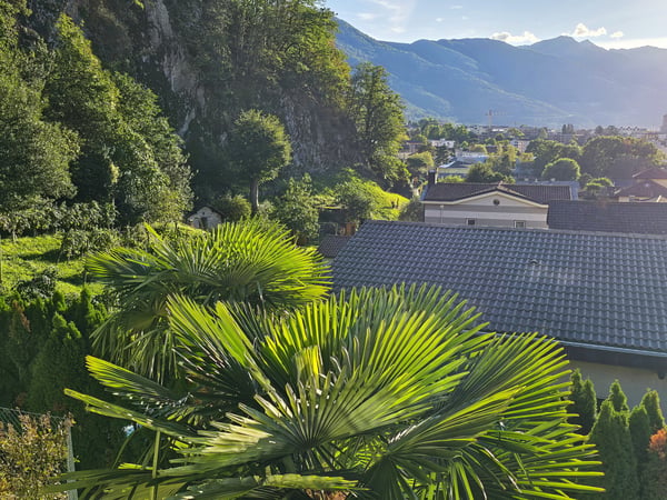 Ampia villa unifamiliare con piscina, terreno edificabile e bella vista 3