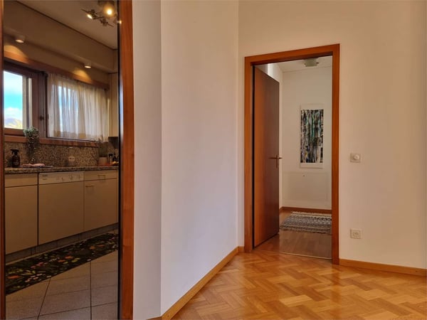 Vista Lago in Apertura - Intervento Comunale Approvato 11