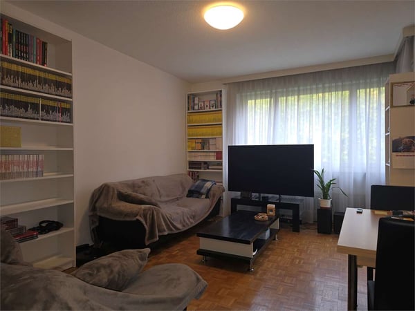 Giubiasco - Luminoso 1.5 locali con terrazza e due posteggi privati 5