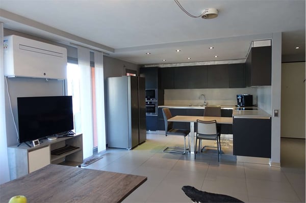 Raro ! 1.5 locali con grande terrazza e accesso al giardino 2