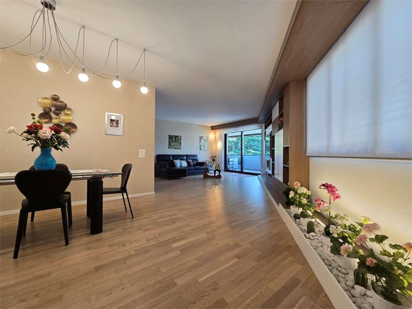 Elegante 4.5 con terrazza e lavanderia in casa 2