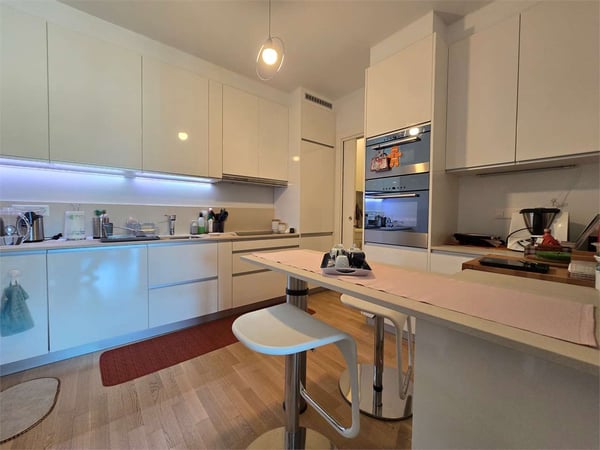 Elegante 4.5 con terrazza e lavanderia in casa 6