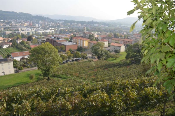 NUOVA VILLETTA CON GIARDINO E TERRAZZA PANORAMICA 2
