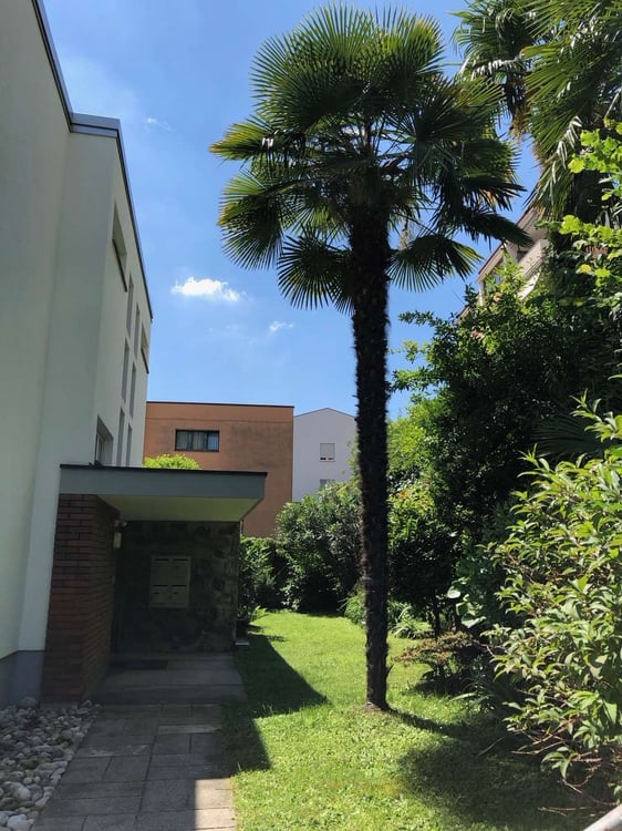 PROMOZIONE 1^MESE GRATIS