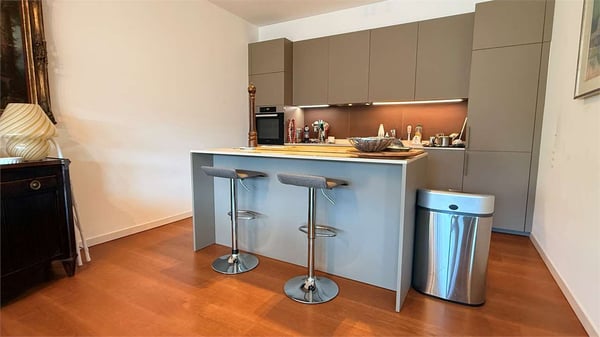 Esclusivo 1.5 locali con ampia terrazza e vista lago 7