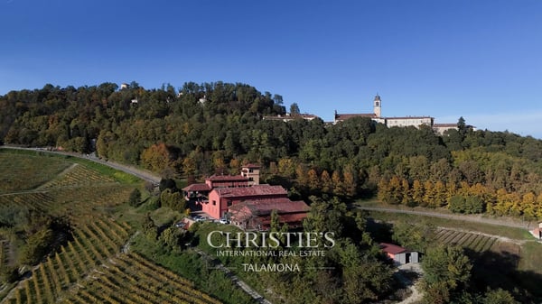 Azienda vinicola con vigneti e casa di campagna nel Monferrato - Serralunga di Crea 2