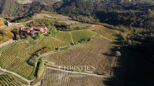 Azienda vinicola con vigneti e casa di campagna nel Monferrato - Serralunga di Crea 3