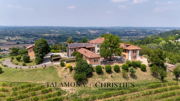 WEINANWESEN MIT PANORAMABLICK AUF DIE HÜGEL DES UNESCO-ERBES 8