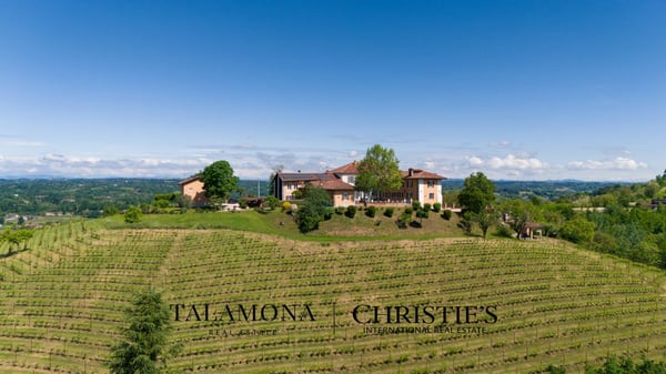 WEINANWESEN MIT PANORAMABLICK AUF DIE HÜGEL DES UNESCO-ERBES 3