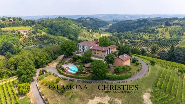 WEINANWESEN MIT PANORAMABLICK AUF DIE HÜGEL DES UNESCO-ERBES 4