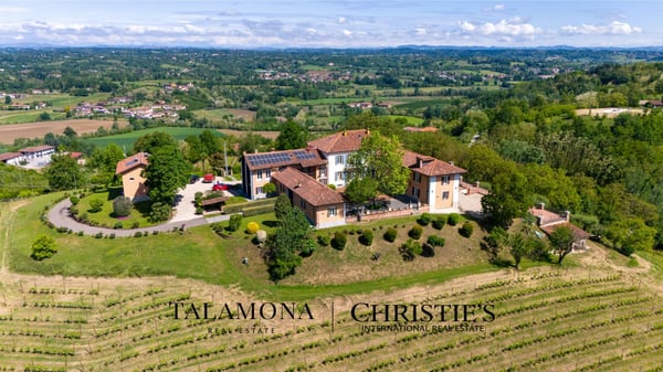 WEINANWESEN MIT PANORAMABLICK AUF DIE HÜGEL DES UNESCO-ERBES 9