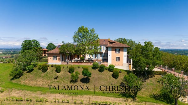 WEINANWESEN MIT PANORAMABLICK AUF DIE HÜGEL DES UNESCO-ERBES 6