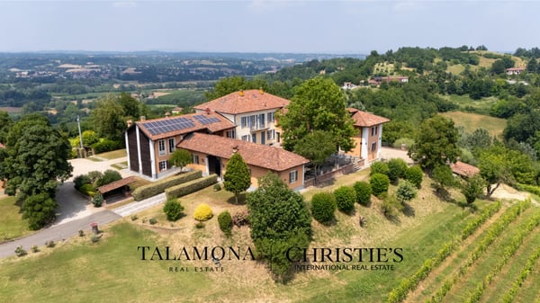 WEINANWESEN MIT PANORAMABLICK AUF DIE HÜGEL DES UNESCO-ERBES 7